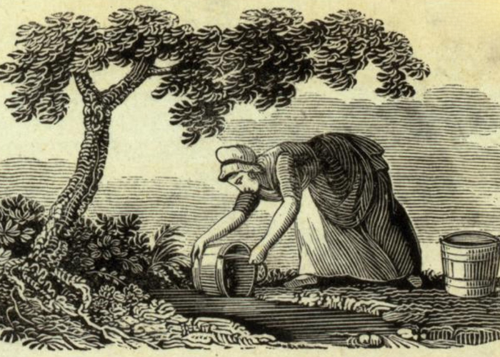 A print of a woman collecting water. 